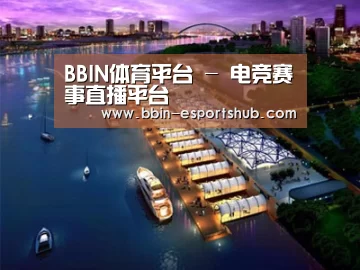 案例展示八